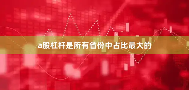 a股杠杆是所有省份中占比最大的
